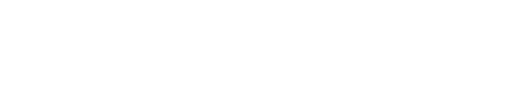 MTNSOFT — New Technology Software